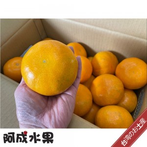 【春節禮盒】嘉義竹崎茂谷柑27A：20-22粒/8台斤/盒