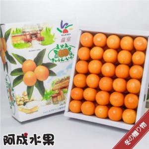 【春節禮盒】日本空運鹿兒島金桔60粒/1.2kg/盒