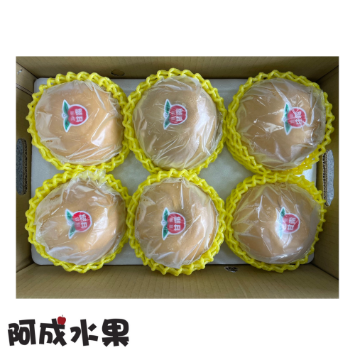 5-1中秋禮盒-台灣寶島甘露梨1盒6粒/5.5kg