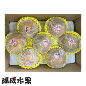 5-2中秋禮盒-台灣寶島甘露梨-1盒7粒/5kg
