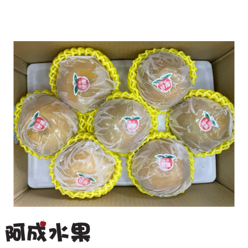 5-2中秋禮盒-台灣寶島甘露梨-1盒7粒/5kg